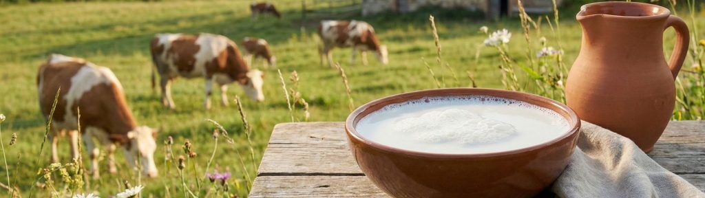differenza tra latte liquido e in polvere Latte in polvere per neonati, come preparalo main image 1